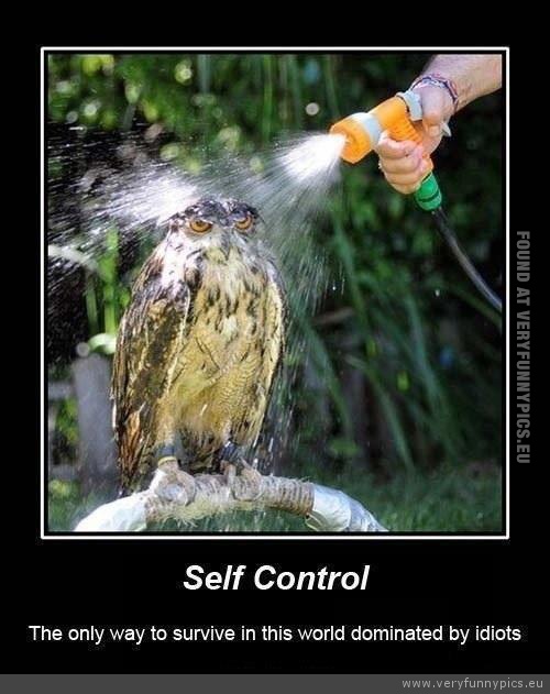 Funny Picture - Self control the only way to survive in a world dominated by idiots