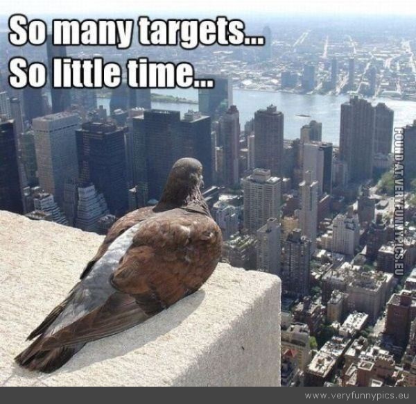 Funny Picture - So many targets so little time