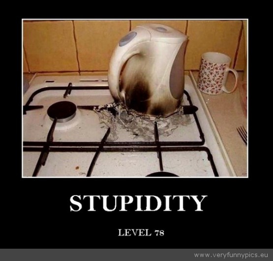 Funny Picture - Stupidity lever 78 water boiler