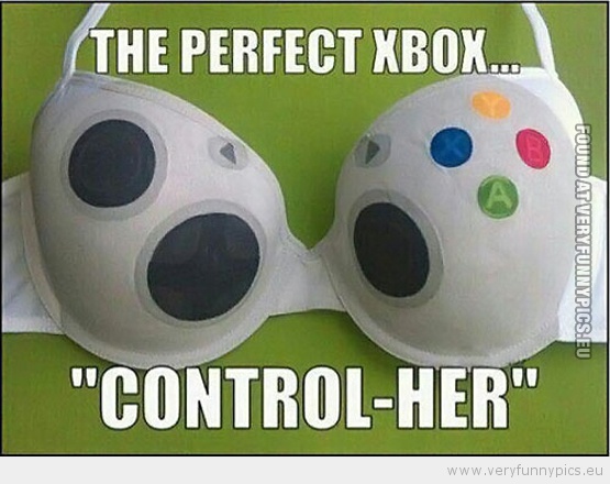 Funny Picture - The perfect xbox control her