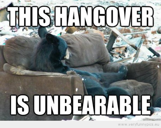 Funny Picture - This hangover is unbearable