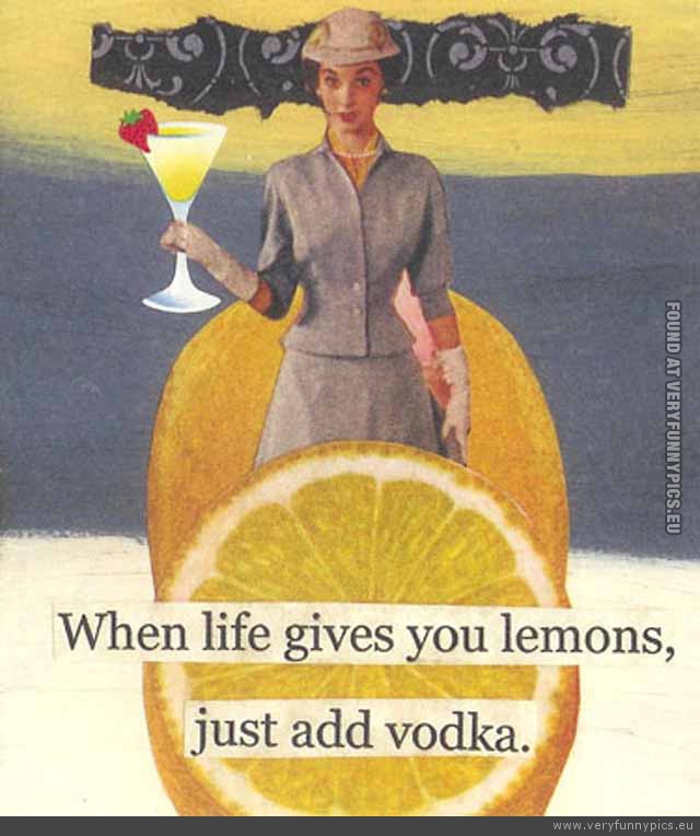funny-picture - when-life-gives-you-lemons-just-add-vodka