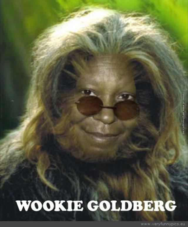Funny Picture - Wookie Goldberg