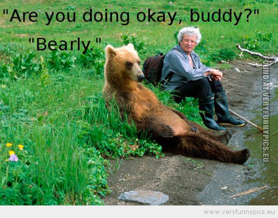 Funny Picture - You doing okay bearly