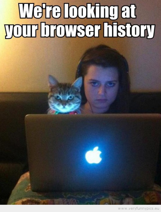 Funny Picture - Cat and girl looking at your browser history