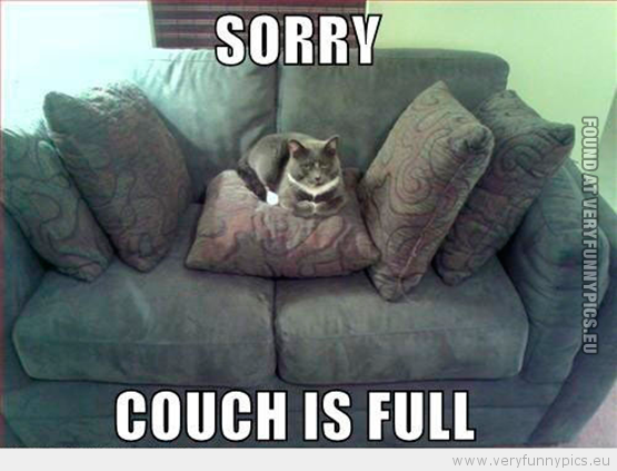 Funny Picture - Cat says sorry couch is full