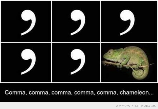 Funny Picture - Comma comma comma comma comma chameleon