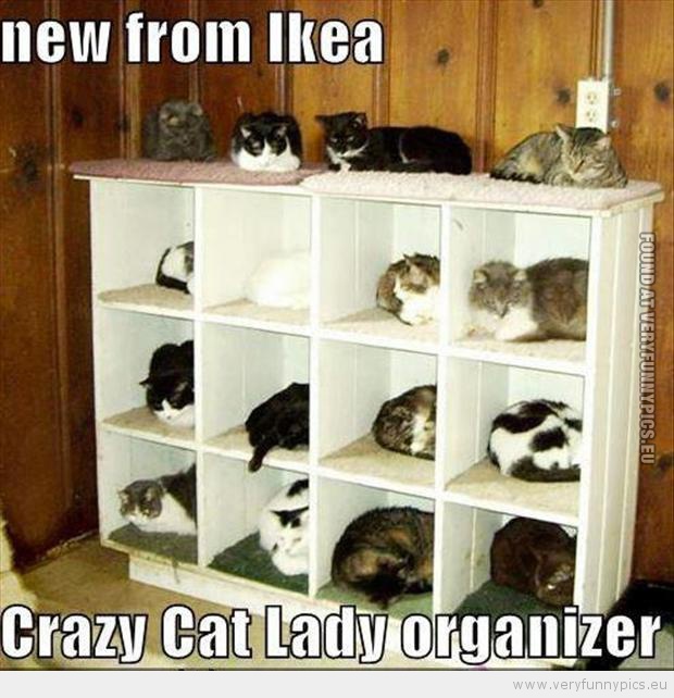 Funny Picture - Cracy cat lady organizer