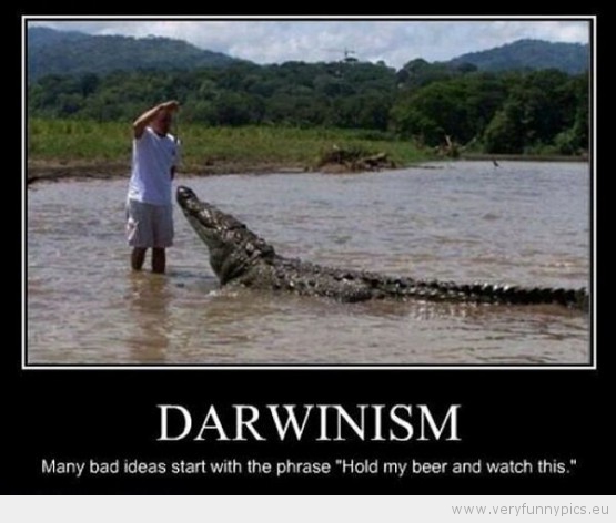 Funny Picture - Darwinism many bad ideas starts with the frace hold my bear and watch this