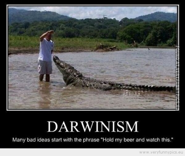 Funny Picture - Darwinism many bad ideas starts with the frace hold my bear and watch this