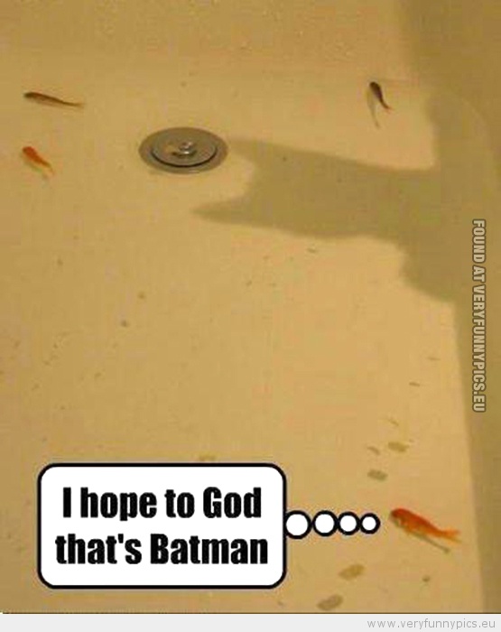 Funny Picture - I hope to god that's batman