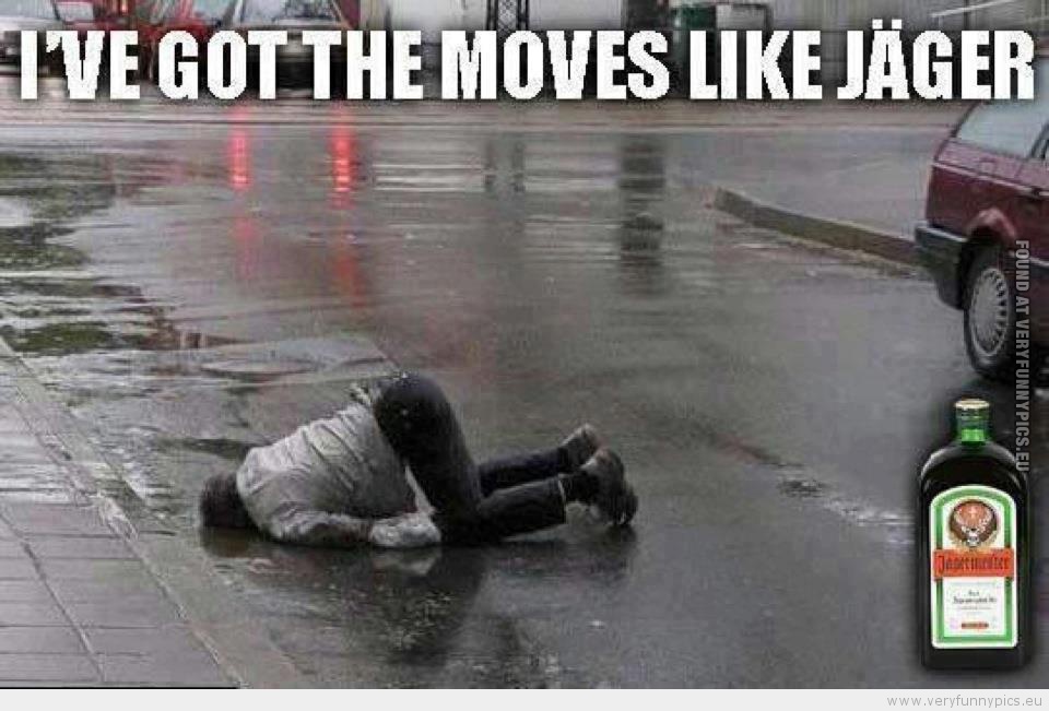 Funny Picture - i've got the moves like jäger