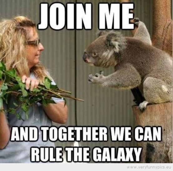 Funny Picture - Join me and together we can rule the galaxy