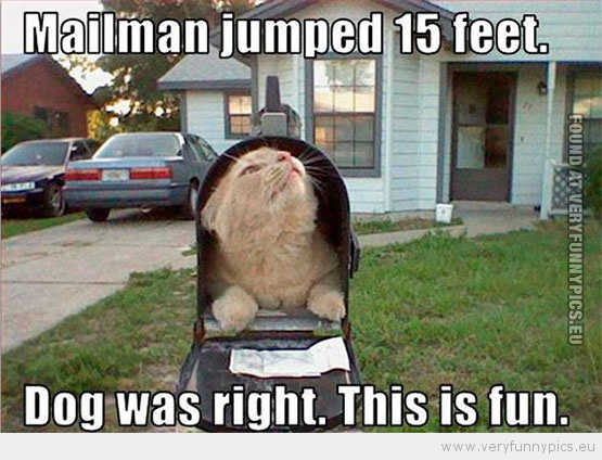 Funny Picture - Mailman jumped 15 feet dog was right this is fun