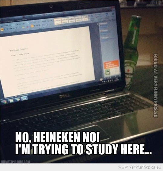 Funny Picture - No henieken no i'm trying to study here