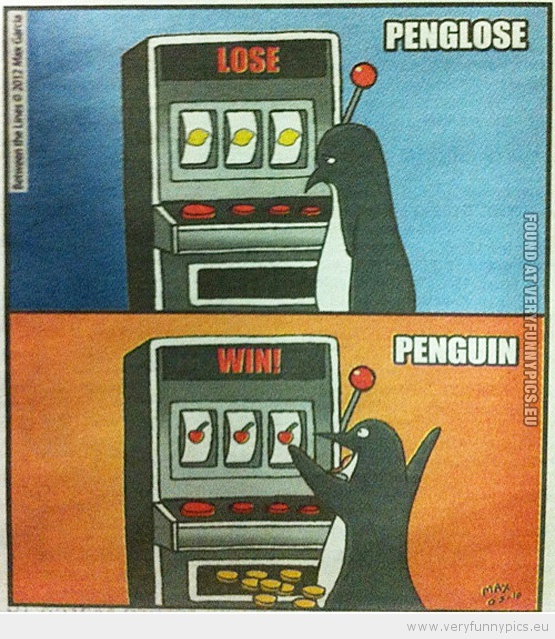Funny Picture - Penguin and pengloose