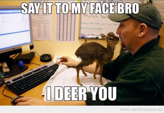 Funny Picture - Say it to my face bro i deer you