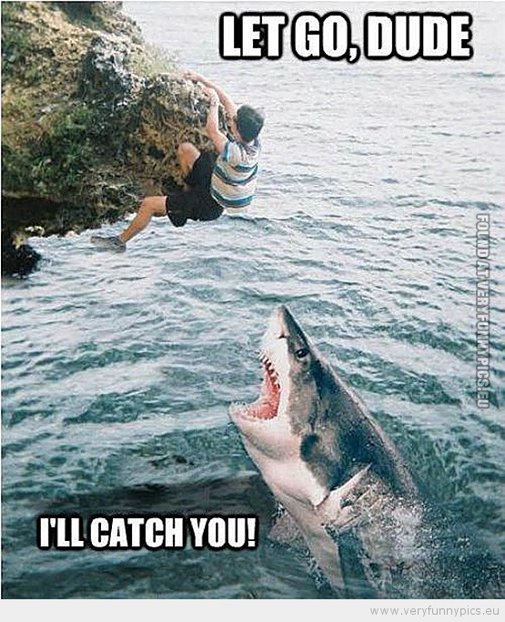 Funny Picture - Shark don't worry i'll catch you