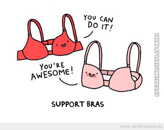 Funny Picture - Support bras