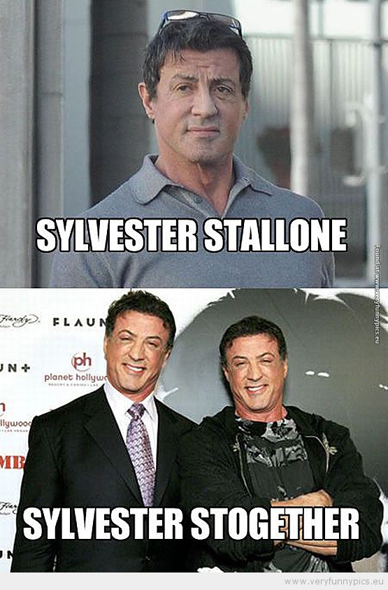 Funny Picture - Sylvester stallone and sylvester together