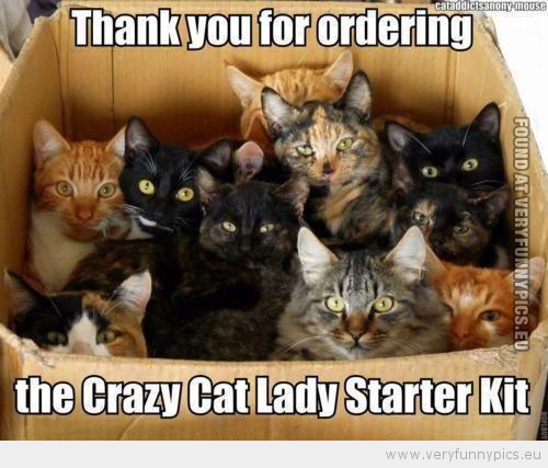 Funny Picture - Thank you for ordering the crazy cat lady starter kit