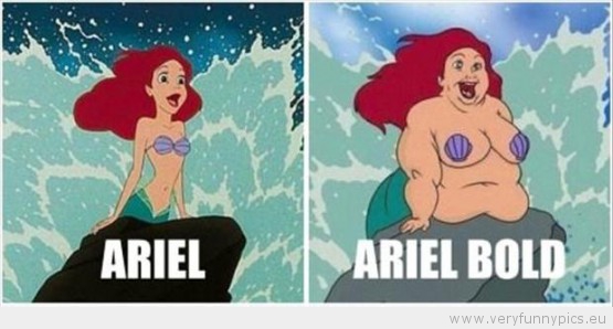 Funny Picture - Ariel and ariel bold