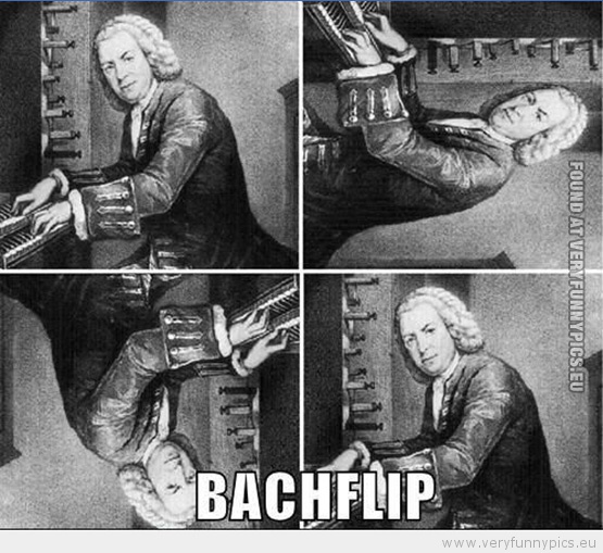 Funny Picture - Bachflip