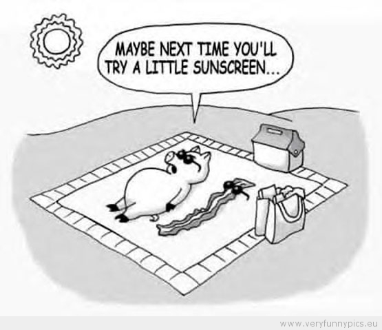 Funny Picture - Bacon in the sun