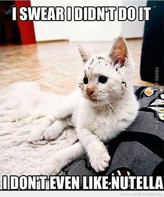 Funny Picture - Cat i swear i didn't do it i don't even like nutella