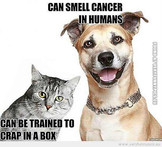 Funny Picture - Dog can smell cancer in humans cat can be trained to crap in a box