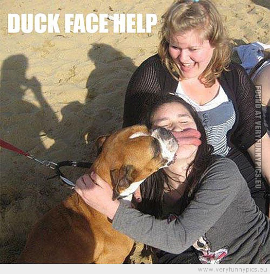 Funny Picture - Dog gives duck face help