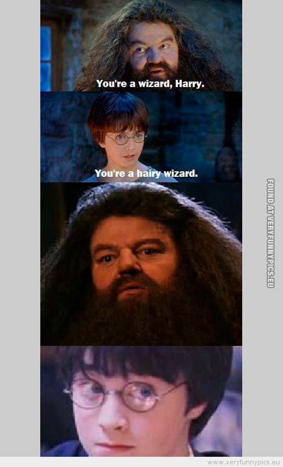 Funny Picture - Harry potter and hagrid the hairy wizzard