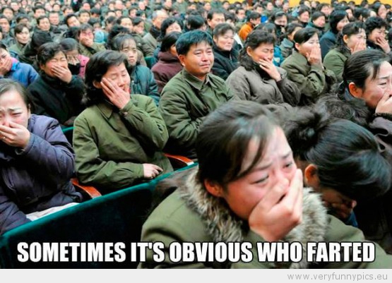 Funny Picture - Sometimes it's obvious who farted
