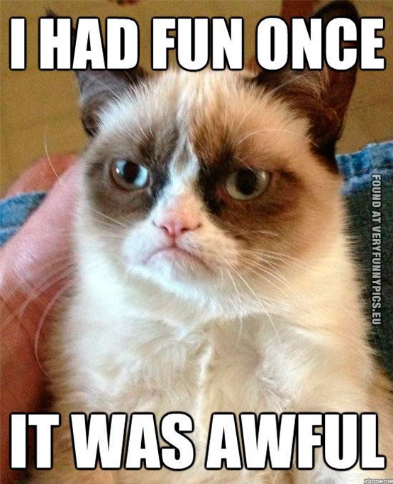 Funny Picture - The worlds grumpiest cat had fun once it was awful