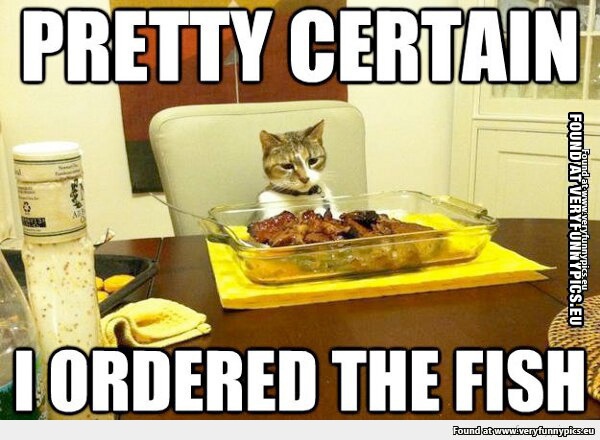 Funny Picture - Cat Pretty certain i ordered fish
