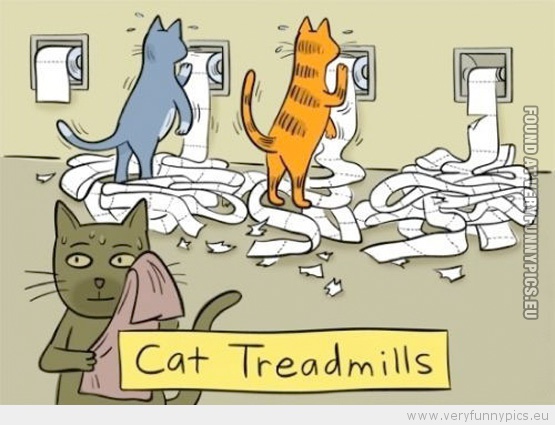 Funny Picture - Cat treadmills