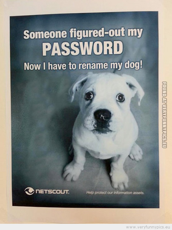 Funny Picture - Great ad someone figured out my password now i have to rename my dog