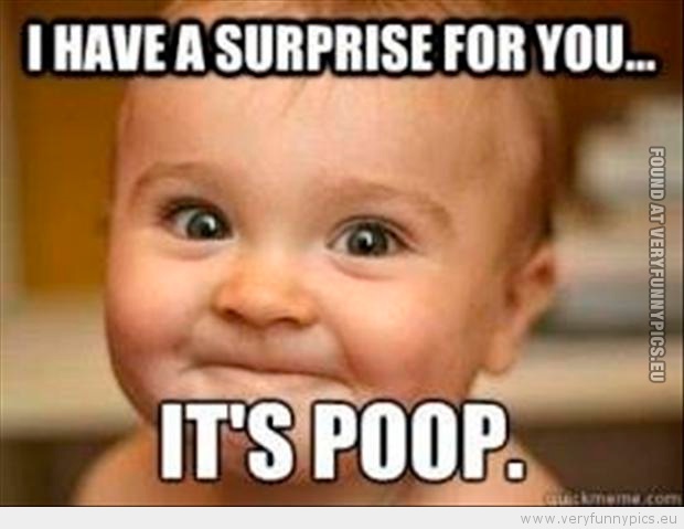 Funny Picture - I have a surprise for you it's poop baby