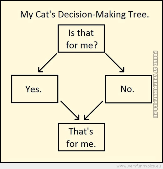 Funny Picture - My cats decision making tree