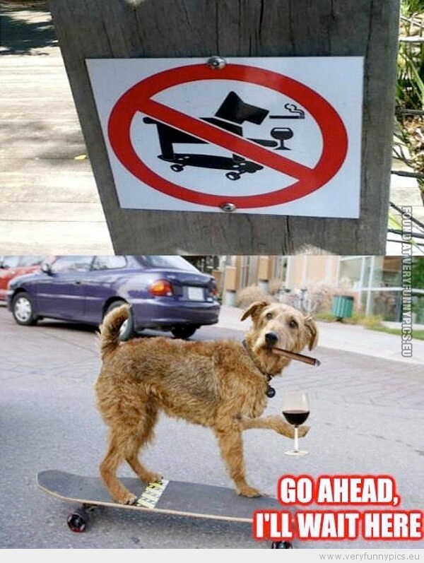 Funny Picture - No dog no skateboard no wine no smoking