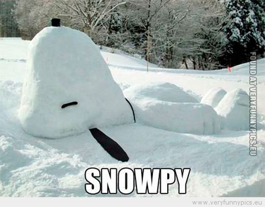 Funny Picture - Snowpy