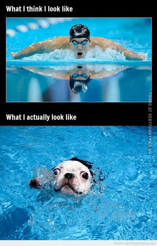 Funny Picture - Swimming how i think i look how i actually look