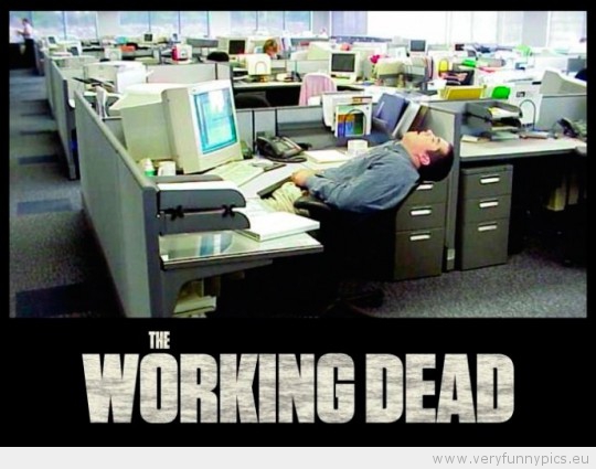 Funny Picture - The working dead