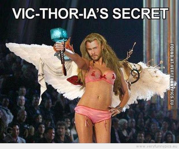 Funny Picture Victhorias secret