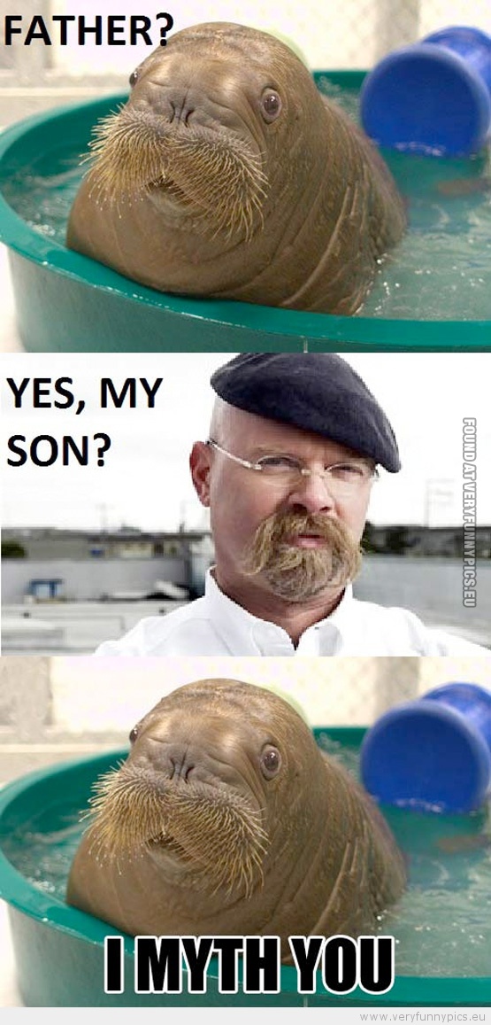 Funny Picture - Walrus saying to mythbuster guy i myth you