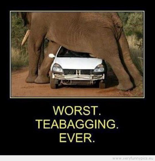 Funny Picture - Worst teabagging ever