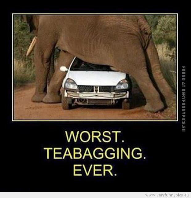 Funny Picture - Worst teabagging ever