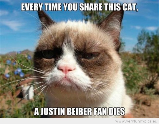 Funny Picture - Every time you share this cat a justin bieber fan dies