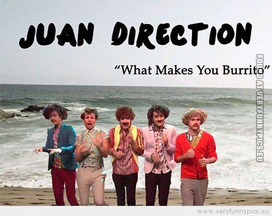 Funny Picture - Mexican one direction juan direction what makes you burrito
