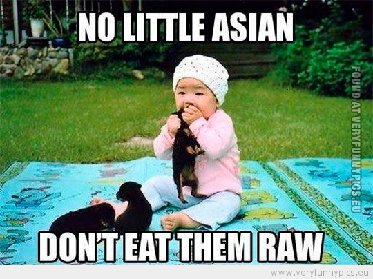 Funny Picture- No little asian don't eat them raw